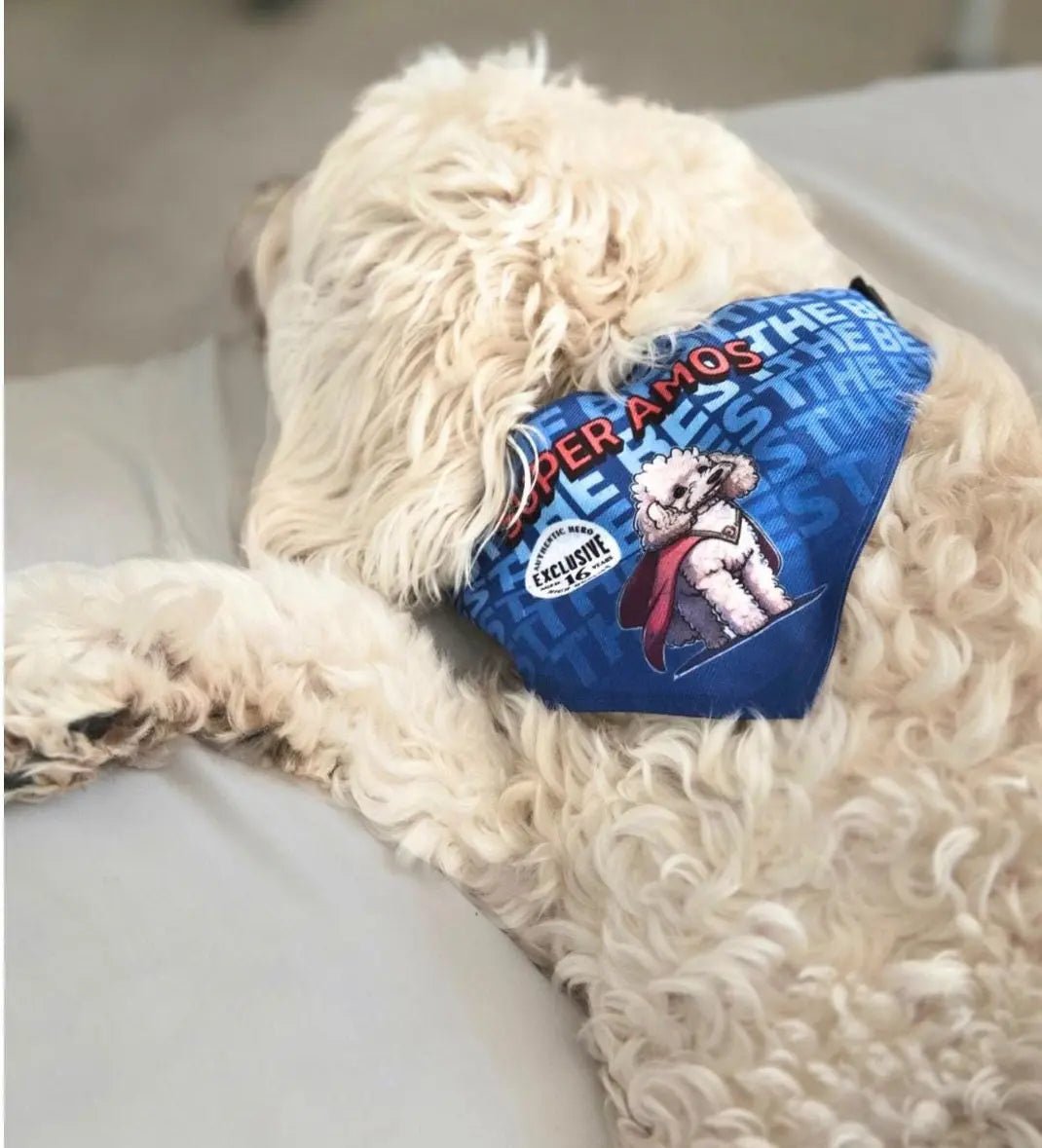 Custom Pet Products Gooso Pixel