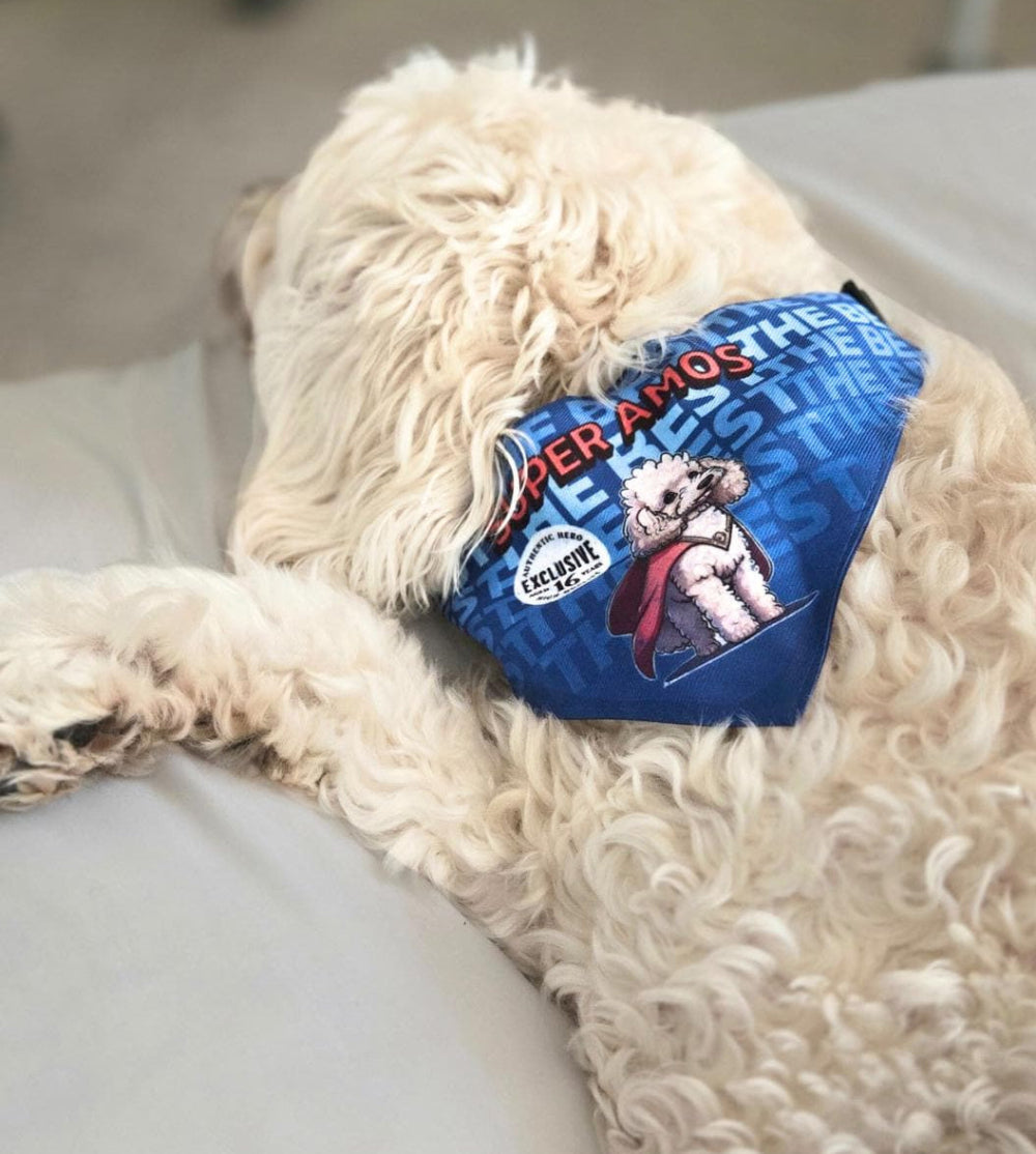 Personalized Pet Bandana Collar