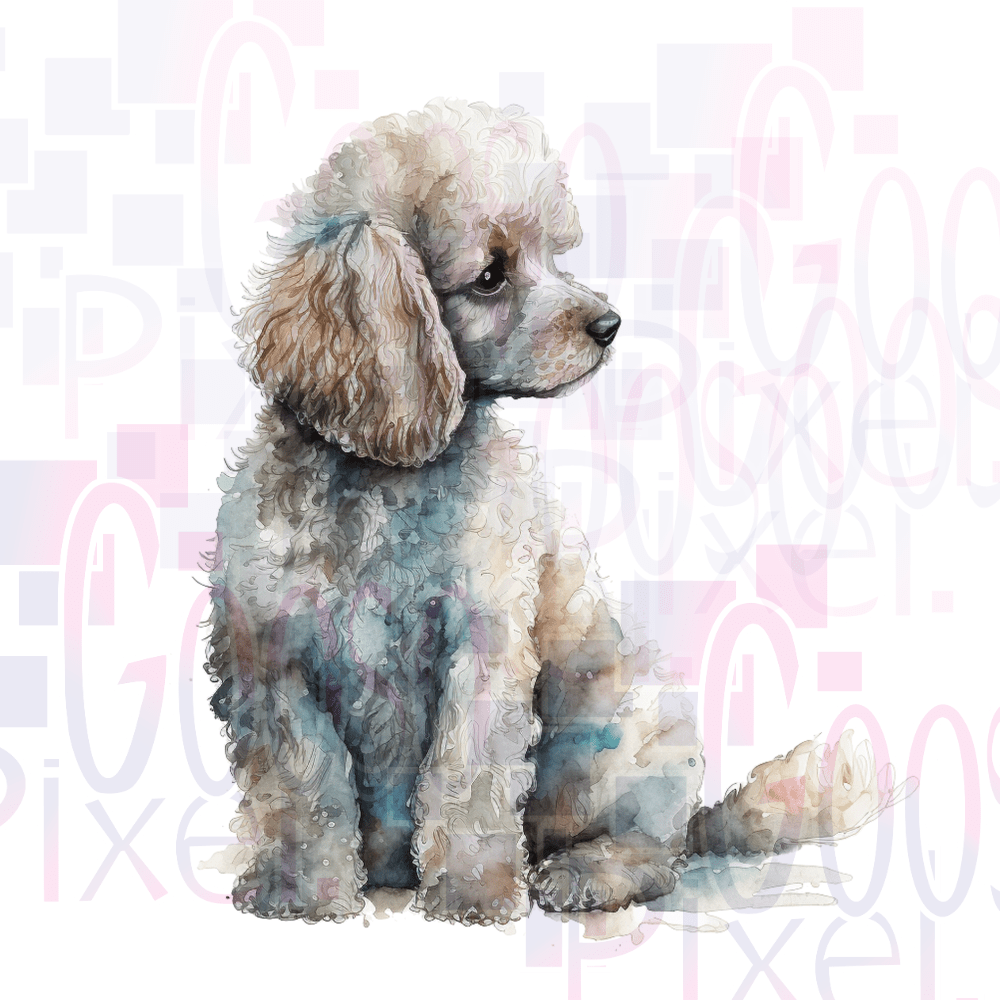 Watercolor illustration of a poodle on a light pink background