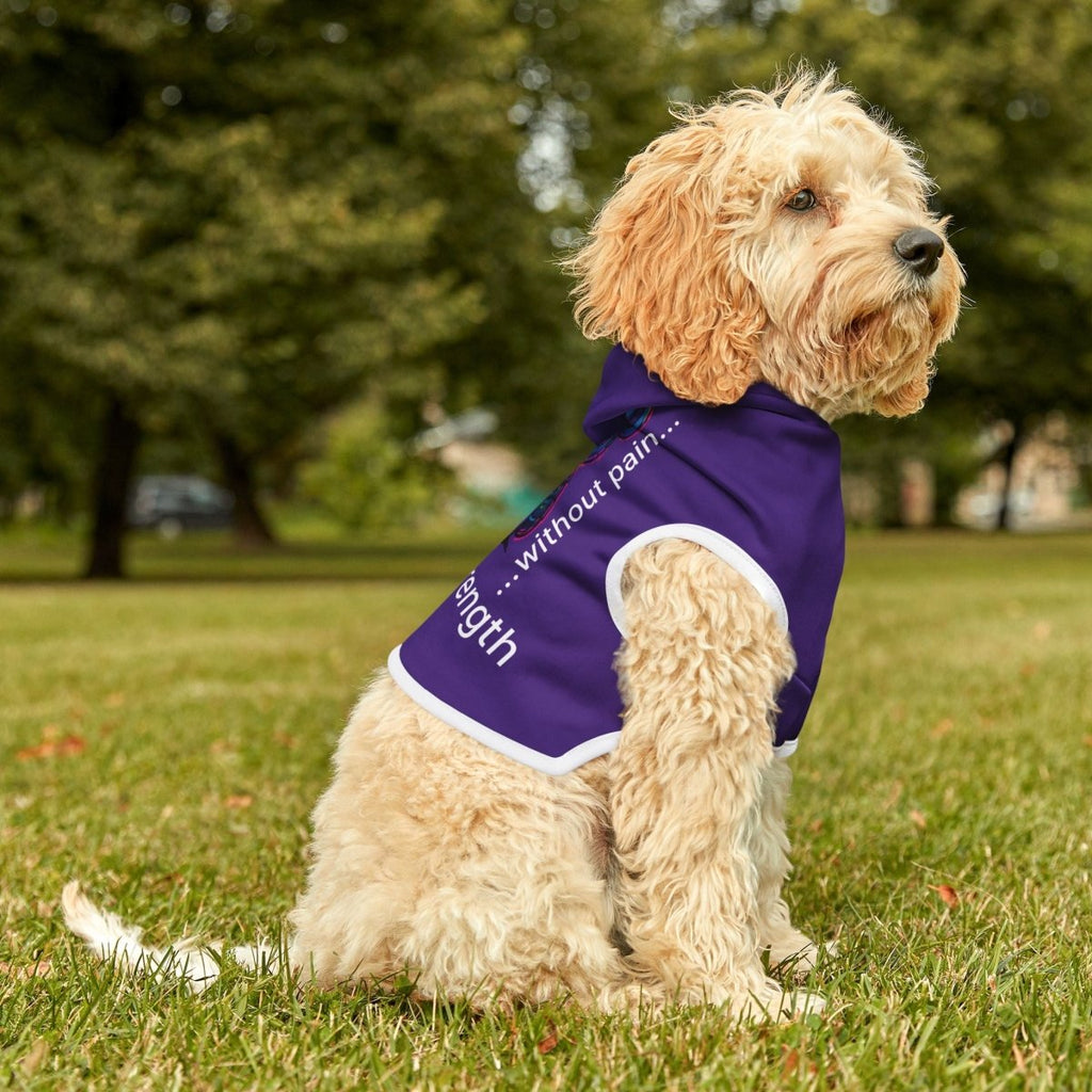 Copy of Copy of Pet Hoodie - Gooso Pixel LLC