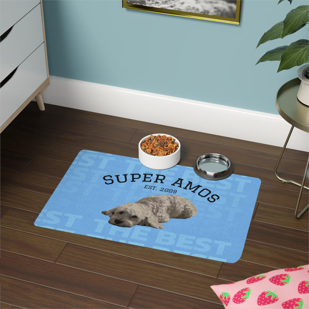 custom pet food mat with food in a house blue 