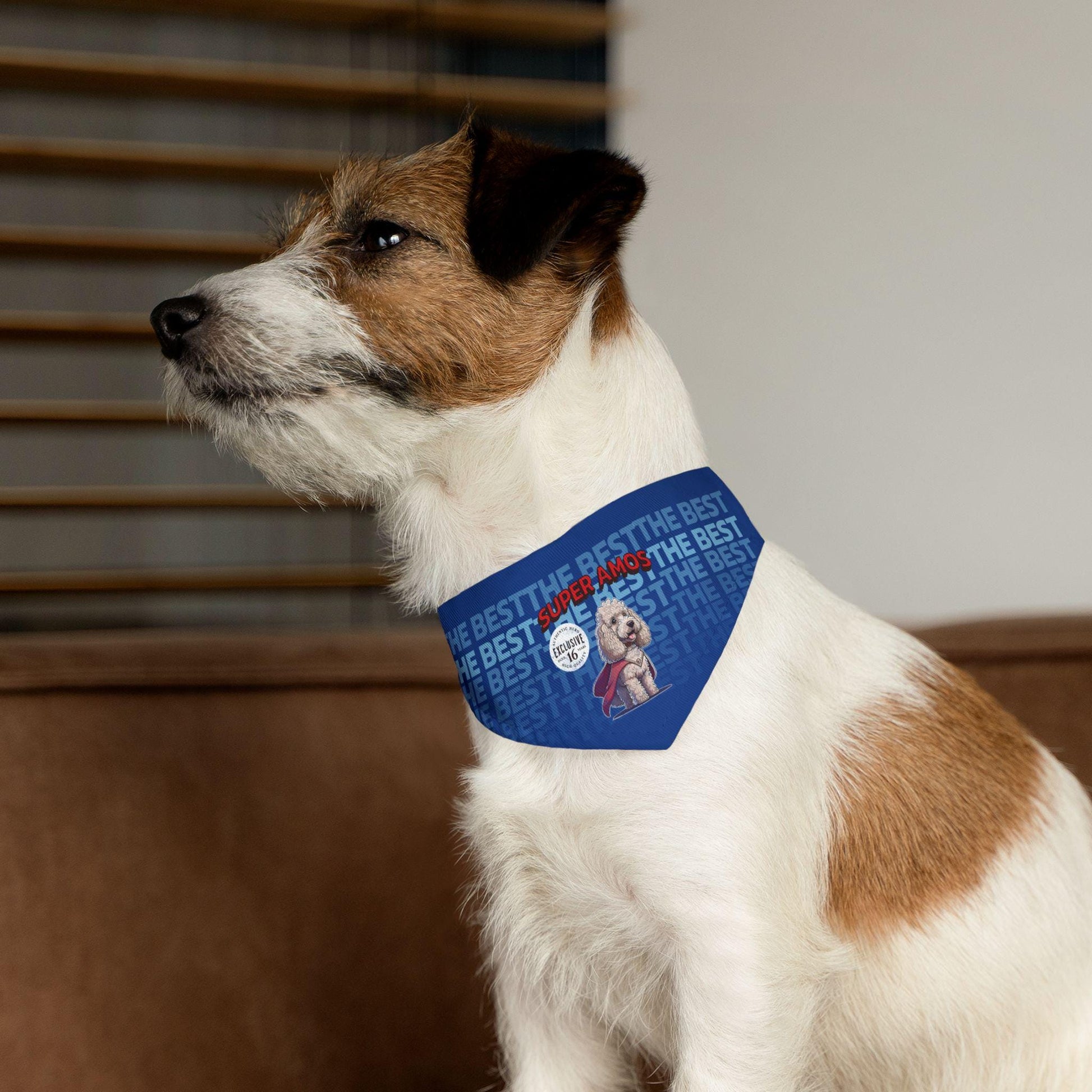 Personalized Pet Bandana Collar