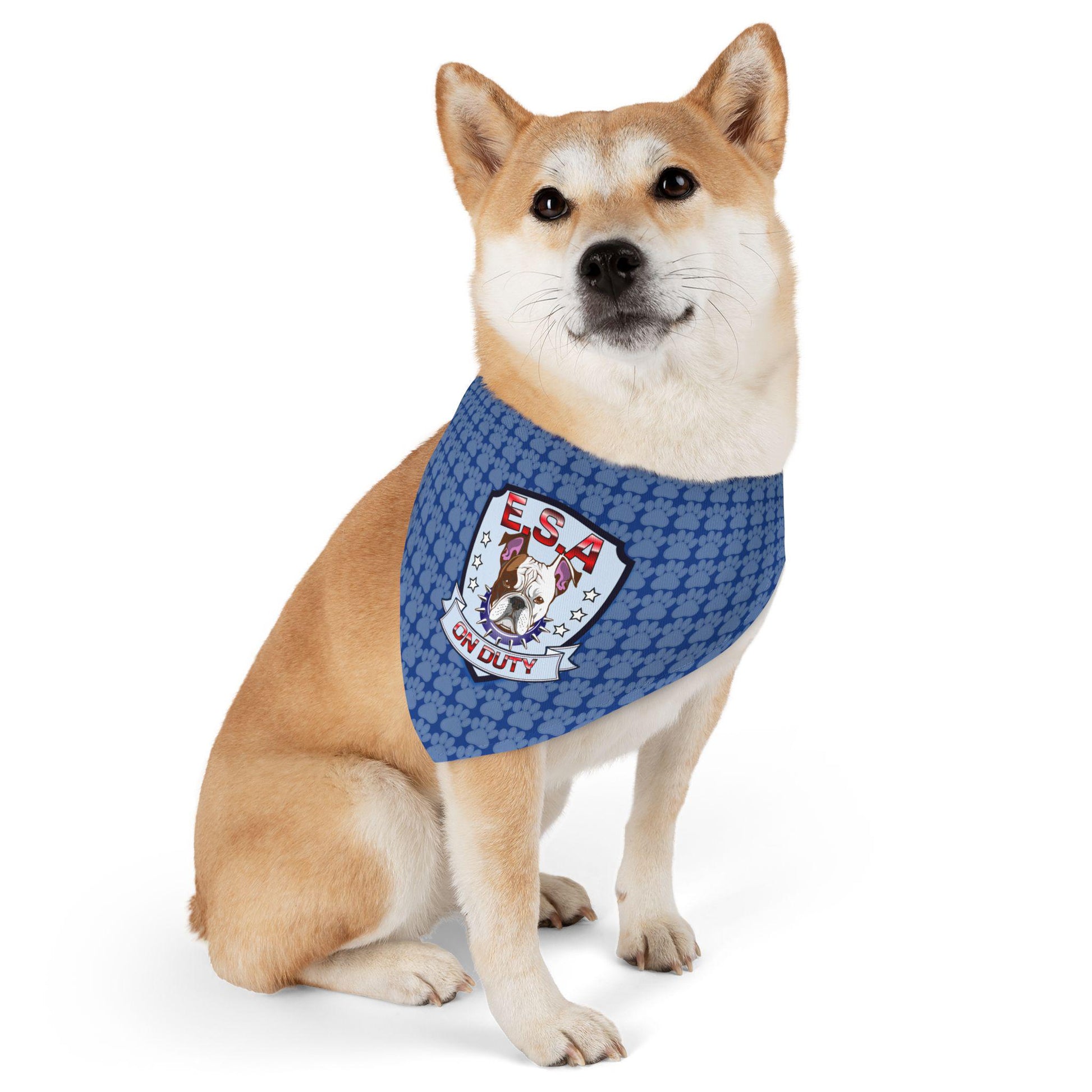 Personalized Pet Bandana Collar