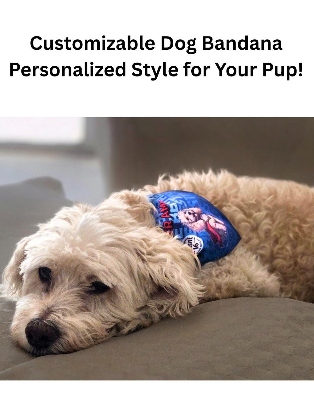 Personalized Pet Bandana Collar