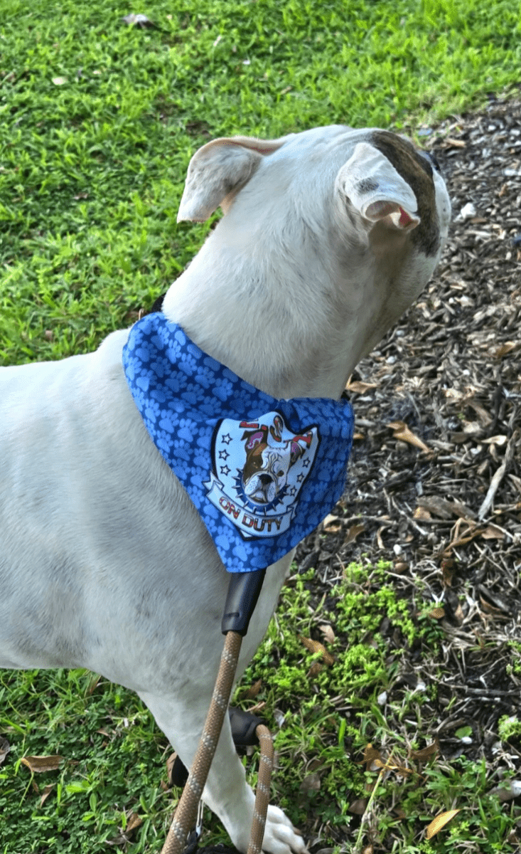 Personalized Pet Bandana Collar | Custom Dog Scarf - Gooso Pixel