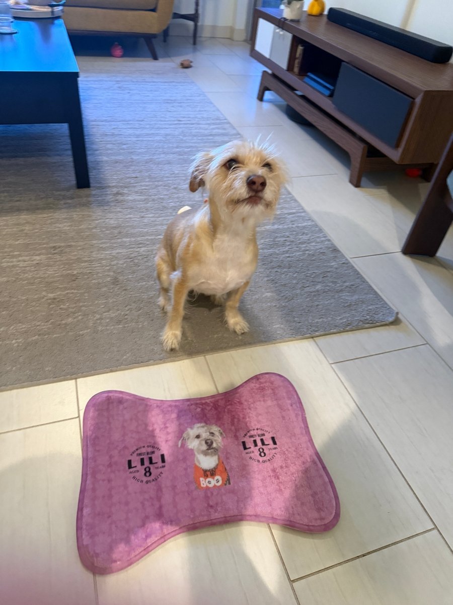 Personalized Pet Feeding Mats - Fun Shapes, Non - Slip Design, Easy Cleanup! - Gooso Pixel