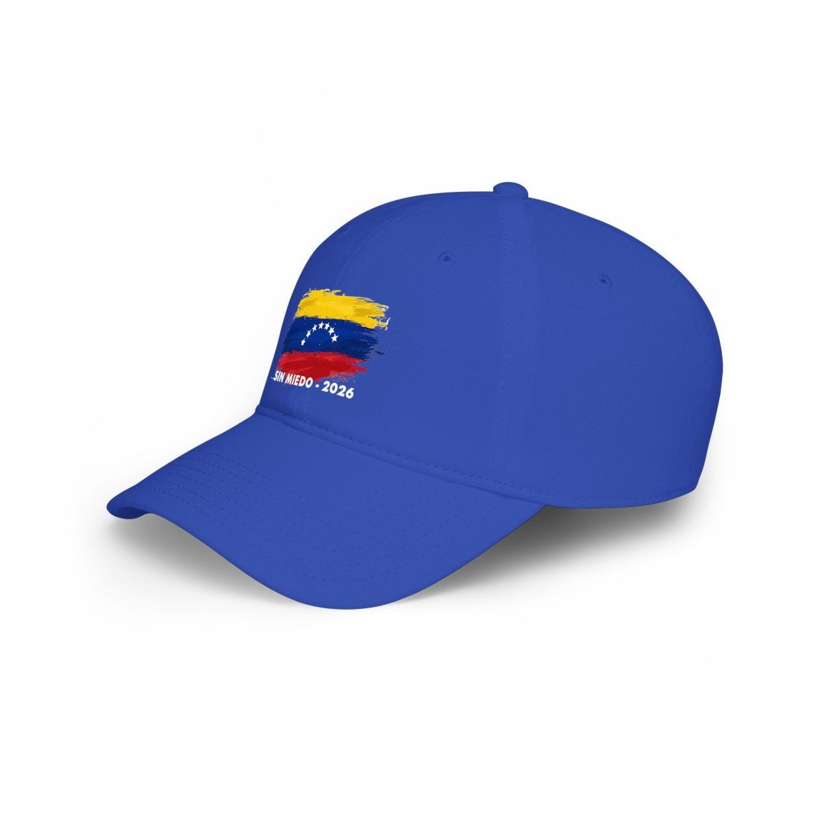 SIN MIEDO 2026 Venezuelan Flag Brushstroke Baseball Cap | Embroidered Low Profile - Gooso Pixel LLC
