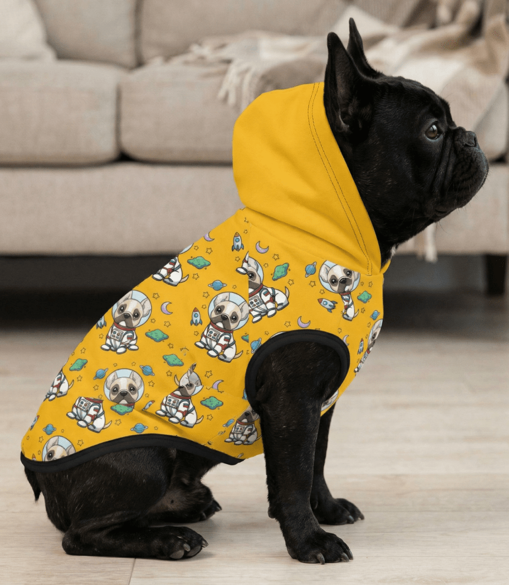 Black frenchie  wearing a yellow hoodie with a pattern of cartoon characters in a living room.
